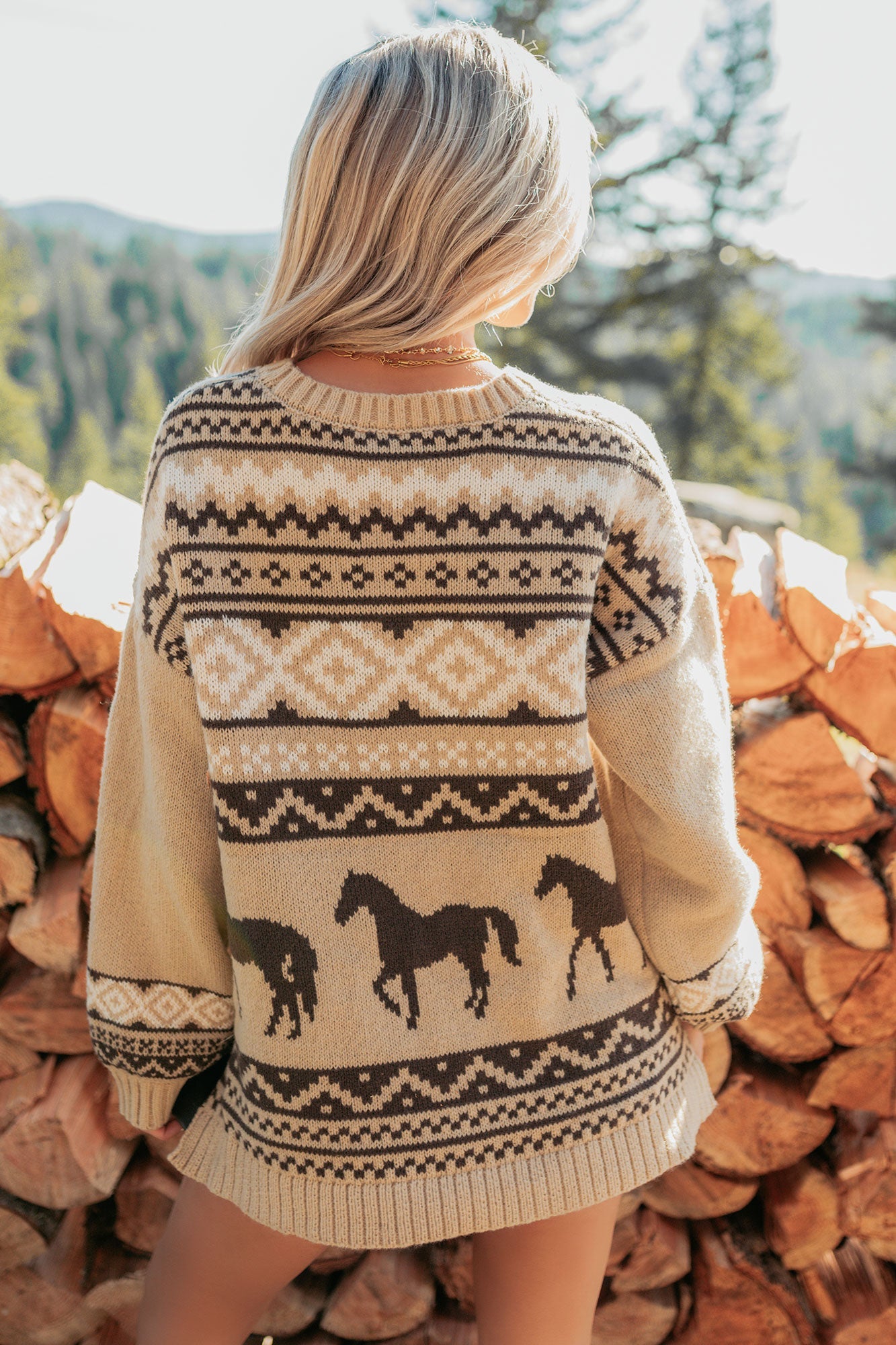 Bless Your Boots Western Print Sweater (Mocha)